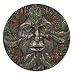 Greenman Plaque - Summer - Cold Cast Resin - 5.5" Diameter