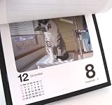 2011年 カミンカレンダー 猫めくり(猫と出会える365日)スタンド付パッケージ入り