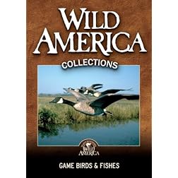 Game Birds & Fishes Collection