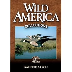 Game Birds & Fishes Collection