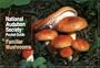 National Audubon Society Pocket Guide to Familiar Mushrooms (National Audubon Society Pocket Guides)