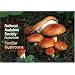 National Audubon Society Pocket Guide to Familiar Mushrooms (National Audubon Society Pocket Guides)