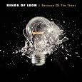 BECAUSE OF THE TIMES [Vinyl] by KINGS OF LEON