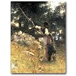 Dans les Oliviers a Capri (Italie) - Gift Enclosure Cards (set of 12)