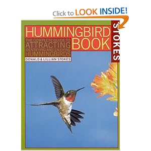 Hummingbird Photos and Info
