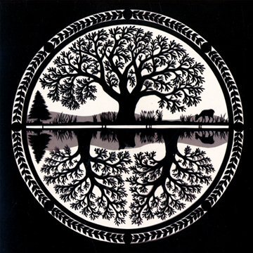 Nina Nastasia - Settling Song Lyrics - Zortam Music