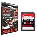 Sandisk Extreme 8GB HD Video Photo SDHC Memory Card for Canon PowerShot SD4500 IS, SD4000 IS, SD3500 IS, SD1400 IS, SD1300 IS, G12, SX210 IS, SX130 IS, SX30 IS, A3100 IS, A495, A490, EOS 550D, EOS 60D, S95 Digital Cameras