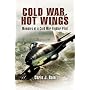 Cold War, Hot Wings: Memoirs of a Cold War Fighter Pilot 1962-1994