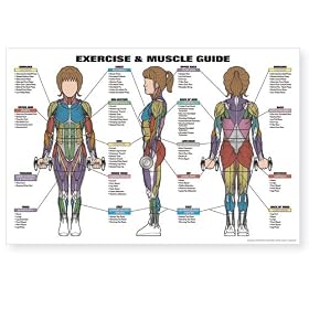 Fitnus Exercise/ Muscle Guide- Female