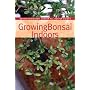 Growing Bonsai Indoors (Brooklyn Botanic Garden All-Region Guide)