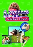 A wyddoch chi am anifeiliaid Cymru?