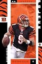 Carson Palmer 22x34