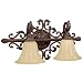 Capital Lighting 1442GB-268 Verona 2-Light Vanity Fixture, Gilded Bronze with Sienna Scavo Glass