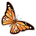 Butterfly - (14
