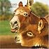 Jackasses 2008 Square Wall Calendar