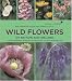 Wild Flowers of Britain and Ireland In Association with Plant Life: A Photographic Field Guide to Over 600 Species: In Association with Natural England