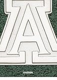Univ Of Arizona A Giant Charm/Pendant -Choose from 14K/10K, Stainless Steel or Gold Plated