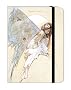 Notes-book f�e bleue