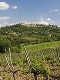 Montepulciano, Val D