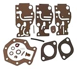 Sierra International 18-7219 Marine Carburetor Kit for Johnson/Evinrude Outboard Motor