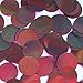 Round Sequin Paillettes 18mm Top Hole Bronze Brown Lazersheen Reflective Metallic Loose Couture