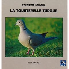 La Tourterelle turque