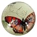 Red Butterfly Crystal Paperweight