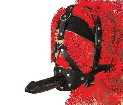 Produkt-Bild: ZADO Leder Kopfgeschirr Dildo