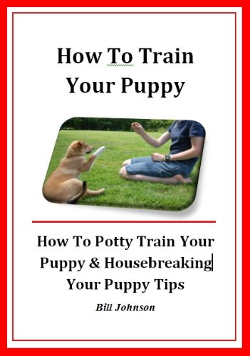 how to potty train a puppy