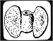 Decorated Mouse Pad with 
