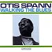 Walking the Blues