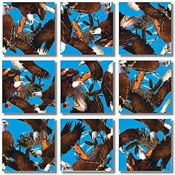 Bald Eagles Scramble Squares Puzzle