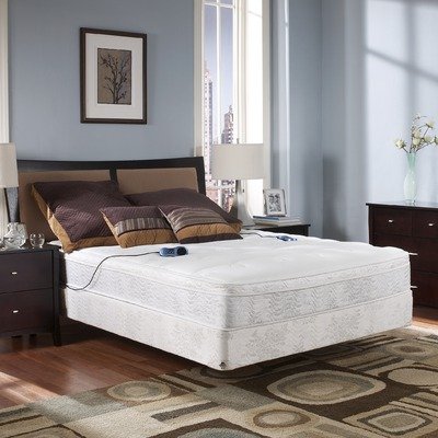 Premier Mattress Size: Queen