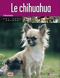 Le Chihuahua