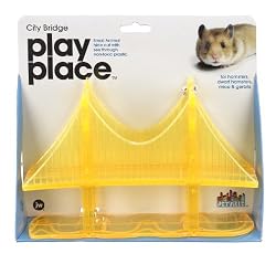 JW PETVILLE CITY BRIDGE