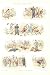 Capture Of An Heiress Antique Print 1889