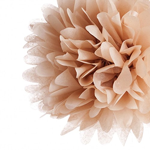 Dress My Cupcake 10