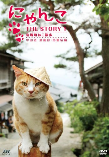 にゃんこTHE STORY 1 宿場町ねこ散歩 妻籠宿・馬籠宿編 [DVD]