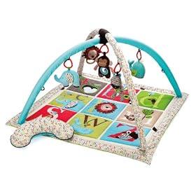 Skip Hop ABC Activity Gym: Baby
