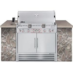Weber Gas Grills Summit S-660 Built-In Propane Gas Grill W/ Rotisserie & Smoker