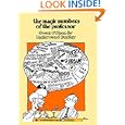 The Magic Numbers of the Professor (Spectrum) by Owen O'Shea & Underwood Dudley