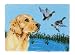 Golden Retriever Rug Pattern