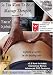 So You Want To Be A Massage Therapist? v2.0 Secrets of Professional Massage Therapy