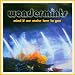 Wondermints-Mind If We Make Love to You
