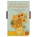 Bist Du schon auf der Sonne gewesen?: Geschichten und Gedichte vom Sommer (Fischer Klassik)