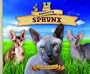 Smooth Sphynx (Super Sandcastle: Cat Craze)