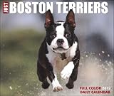 Just Boston Terriers 2012 Calendar