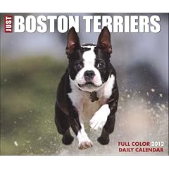 Just Boston Terriers Box Calendar 2012