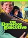 The Barefoot Executive