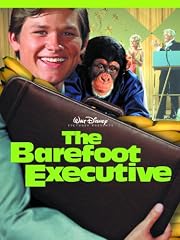 The Barefoot Executive
